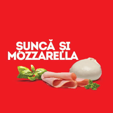 tomi pizza_Ingrediente sunca si mozzarella